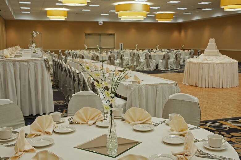 Hotel Holiday Inn Chicago - Elk Grove