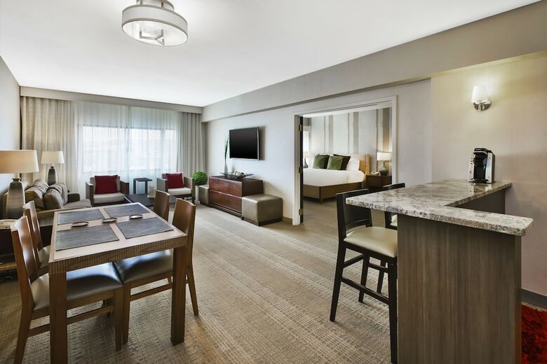 Hotel Holiday Inn Rapid City-rushmore Plaza