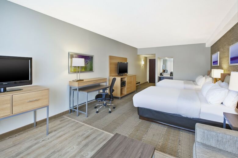 Hotel Holiday Inn Rapid City-rushmore Plaza