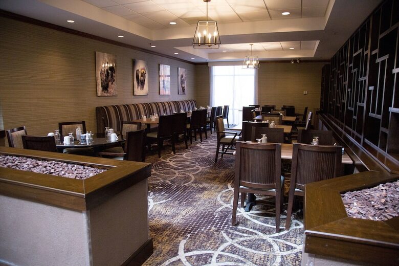 Hotel Holiday Inn Rapid City-rushmore Plaza