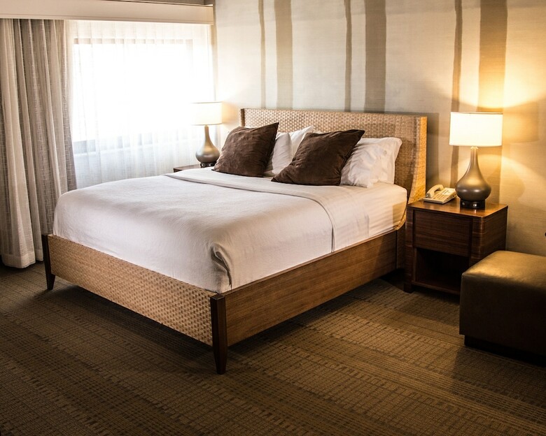 Hotel Holiday Inn Rapid City-rushmore Plaza