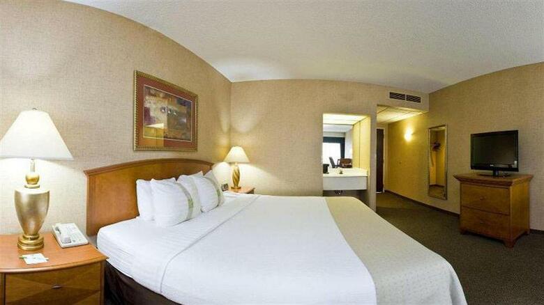 Hotel Holiday Inn Rapid City-rushmore Plaza