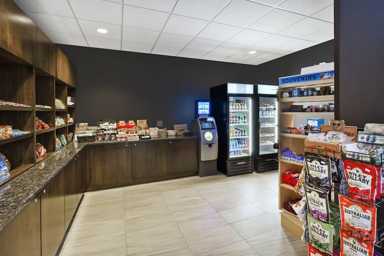Hotel Holiday Inn Rapid City-rushmore Plaza