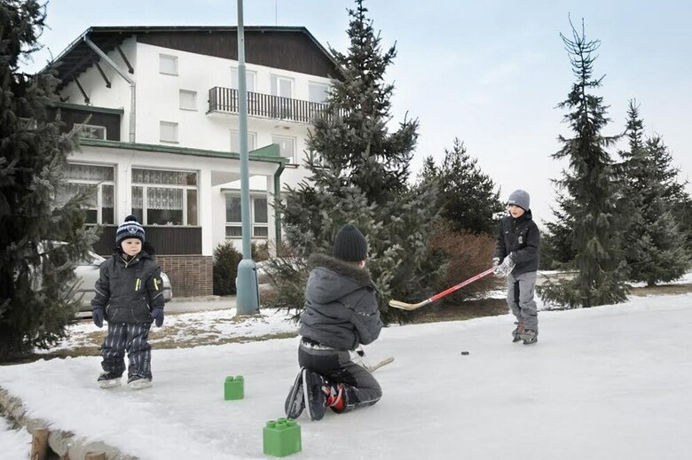 Hotel Borov� Siho?