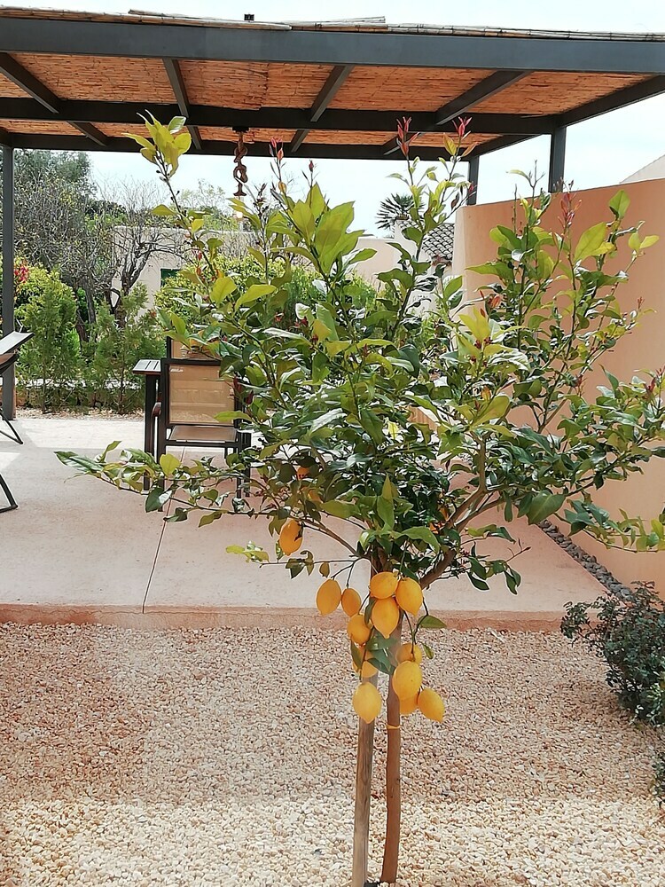 Agroturismo Son Capellot