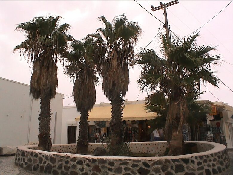 Hotel Asimina