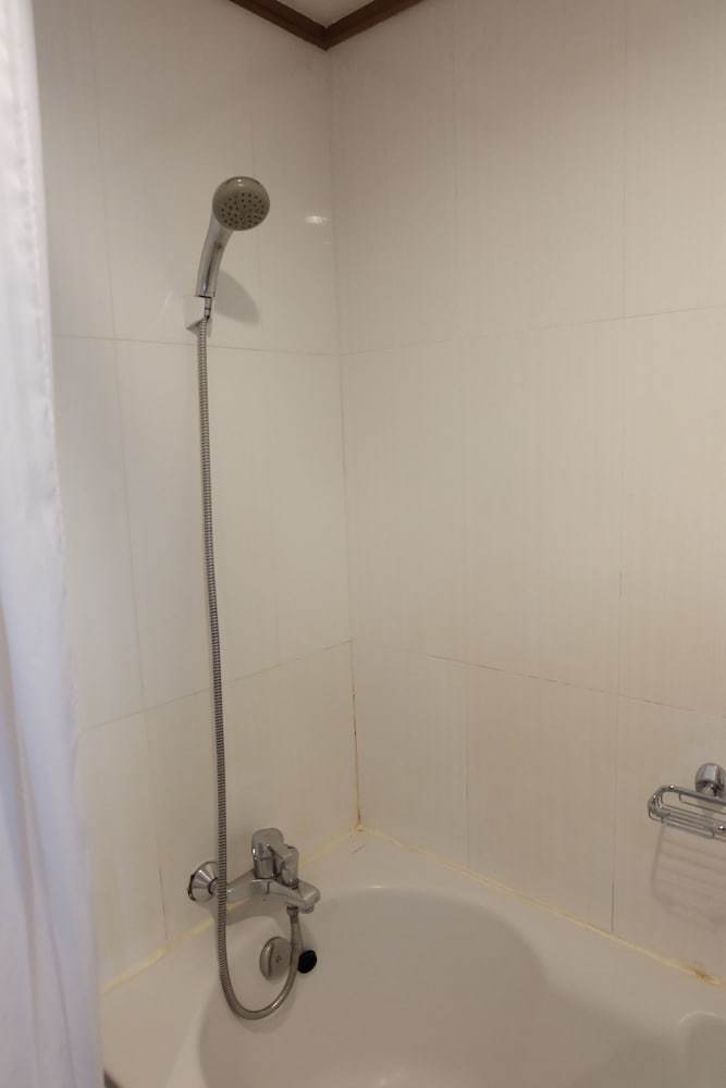 Hotel Green Mansion & Service Apartment