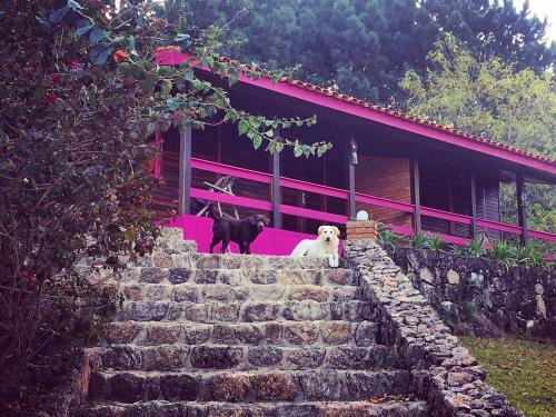 Agroturismo Pousada Recanto Primavera