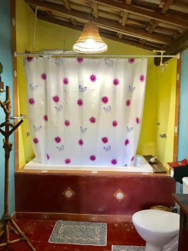 Hostal Pousada Recanto Da Siriema