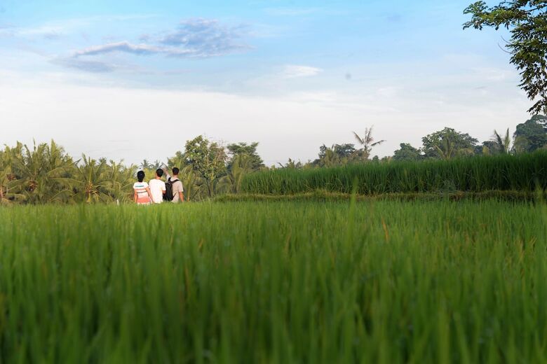 Hotel Purana Boutique Resort