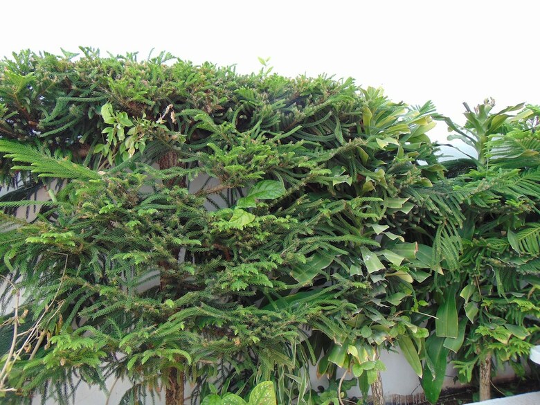 Apartamentos Departamentos Villas Capdeviel