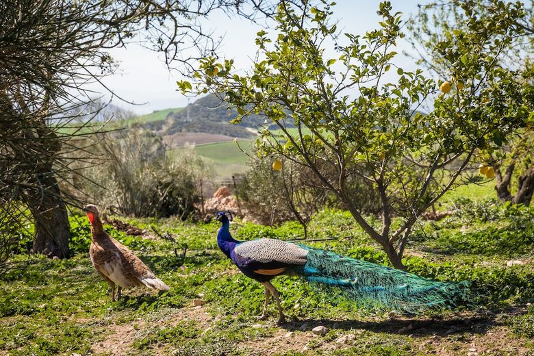 Hotel Fuente Del Sol