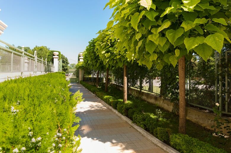 Romance Splendid Spa Hotel