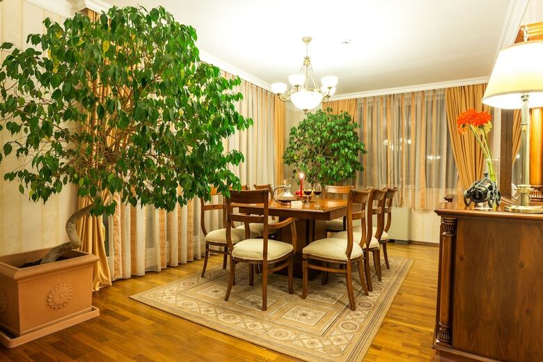 Romance Splendid Spa Hotel