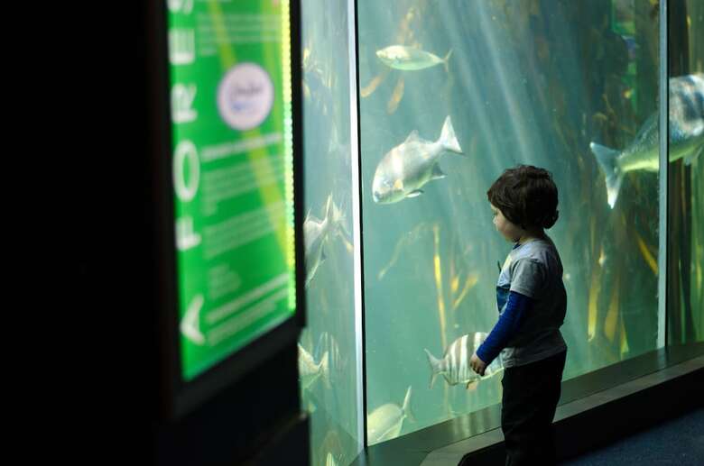 Best Western Fountains Hotel