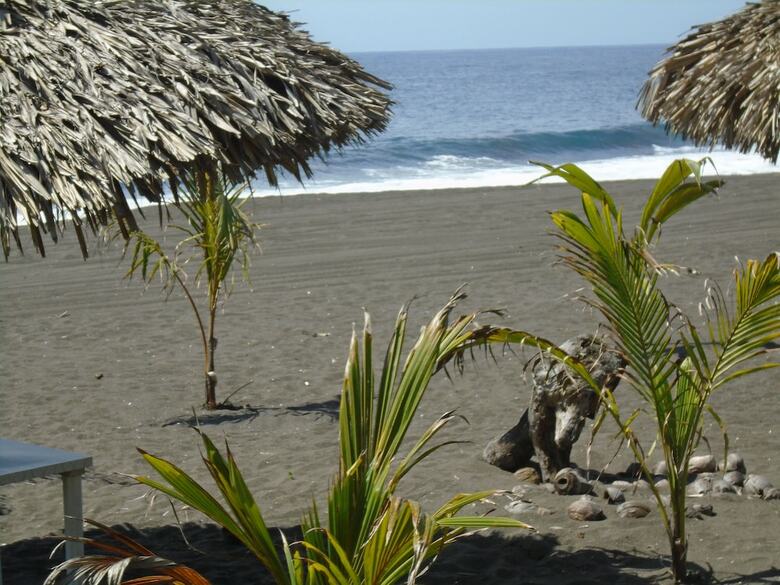Hotel Marbella Eco Lodge