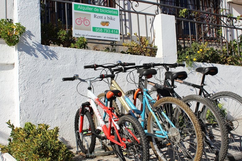 Hostal Y Apartamento Rural Los Naranjos