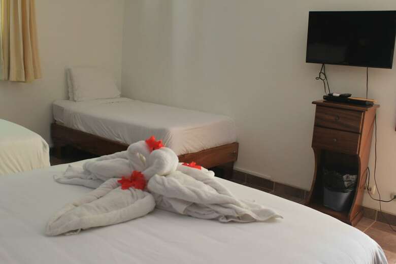 Hotel La Posada And Jungle