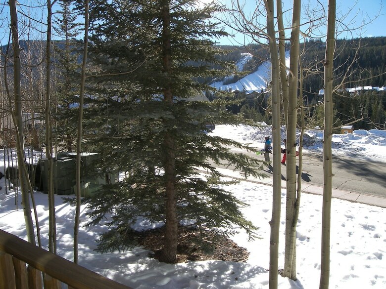 Arapahoe Lodge 1 Bed 1 Bath B