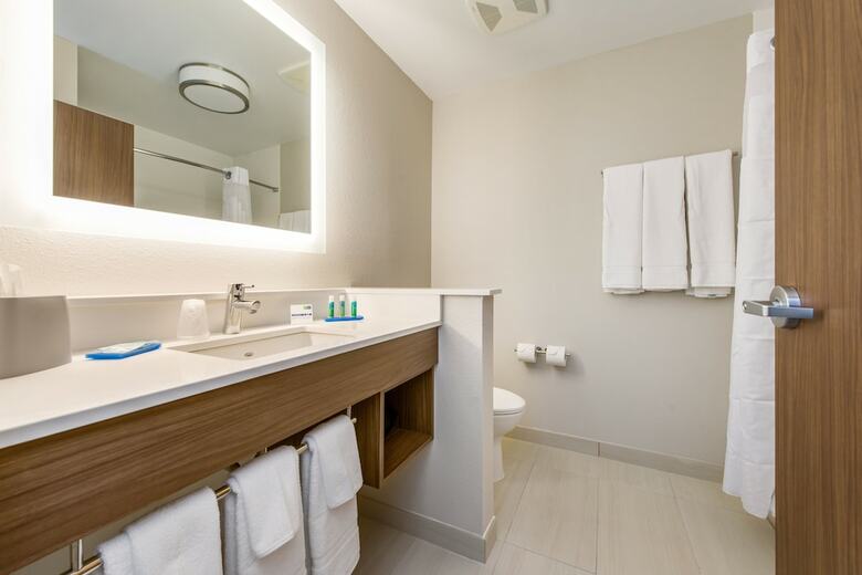 Hotel Holiday Inn Express & Suites Carrollton West