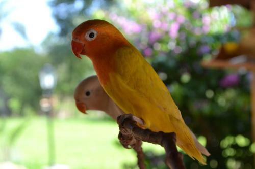 Hostal Pousada Vila Lara