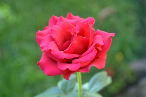 Hostal Pousada Vila Lara