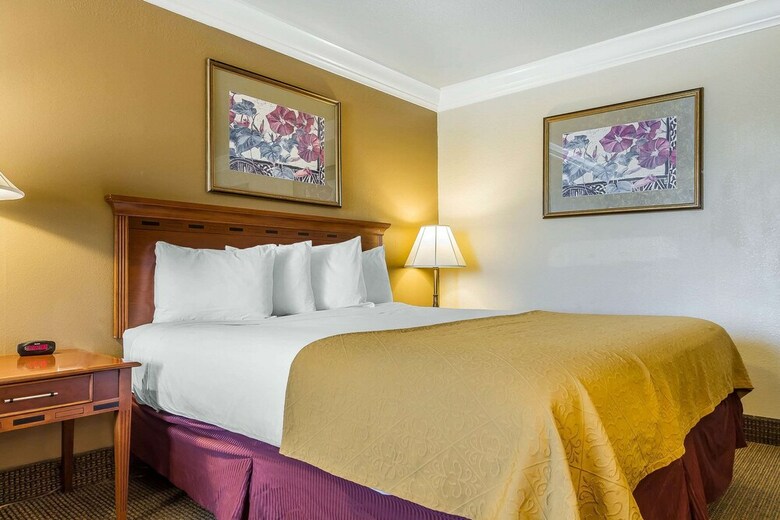 Hotel Quality Inn And Suites