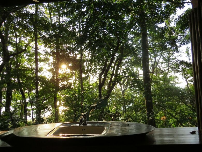 Posada Tiskita Jungle Lodge