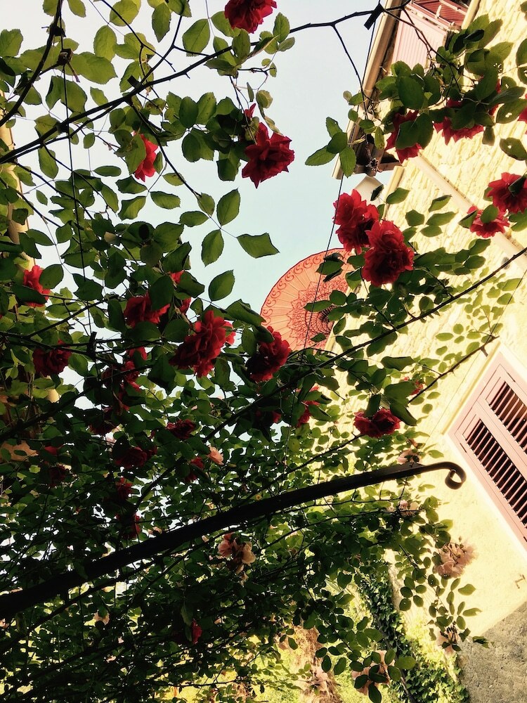Borgata Cantone Country House B&B