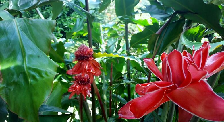 Posada Rancho de Lelo Ecolodge & Sustainable Farm