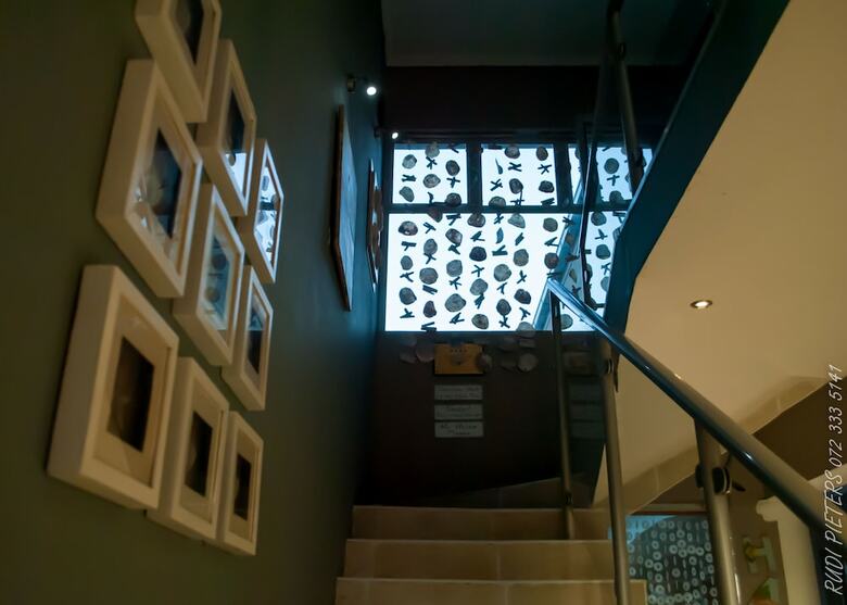 Hotel Cocomo Guesthouse, Spa And Conference Centre