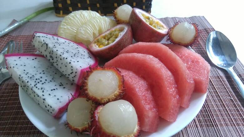 Hotel Green Coco Homestay Hoi An