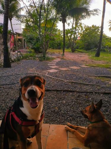 Hostal S�tio Maleleo