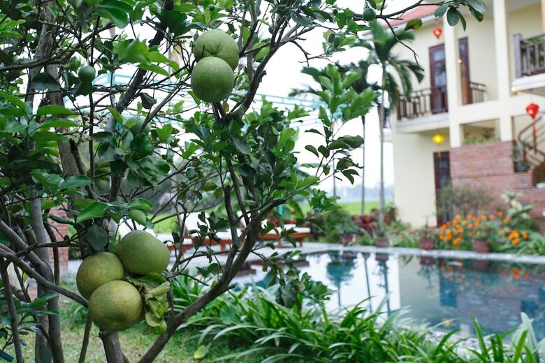 Hotel Lama Villa Hoi An