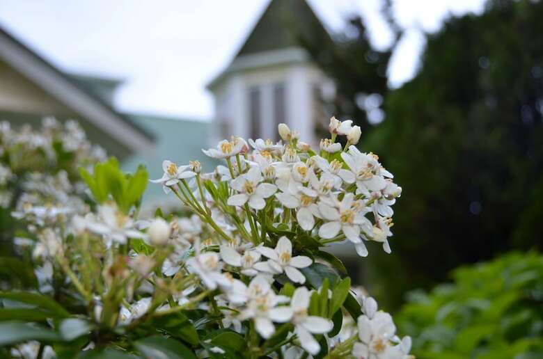 Bed & Breakfast Country Villa Estate