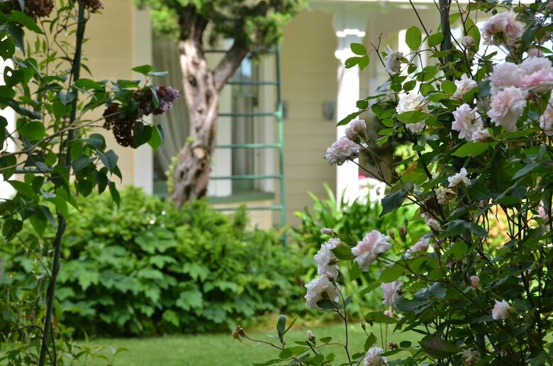 Bed & Breakfast Country Villa Estate