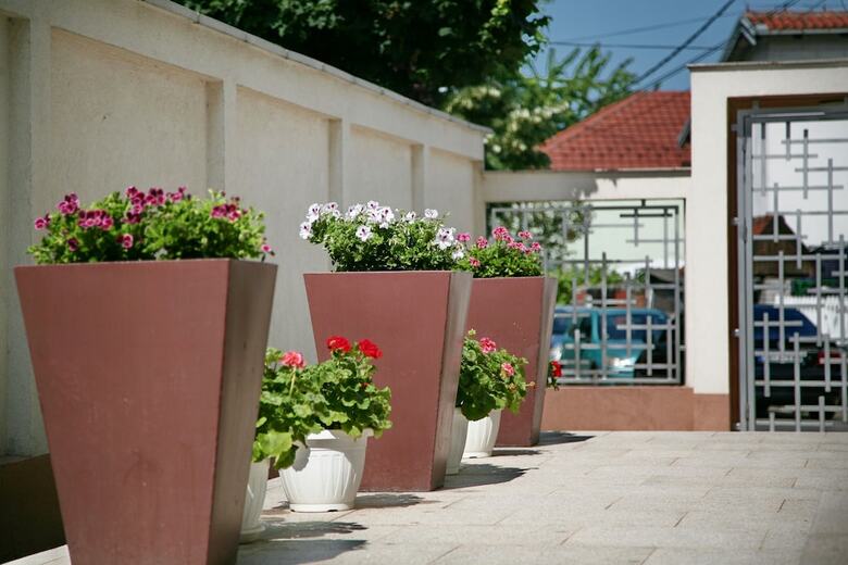 Apartamentos Lala Luxury Suites
