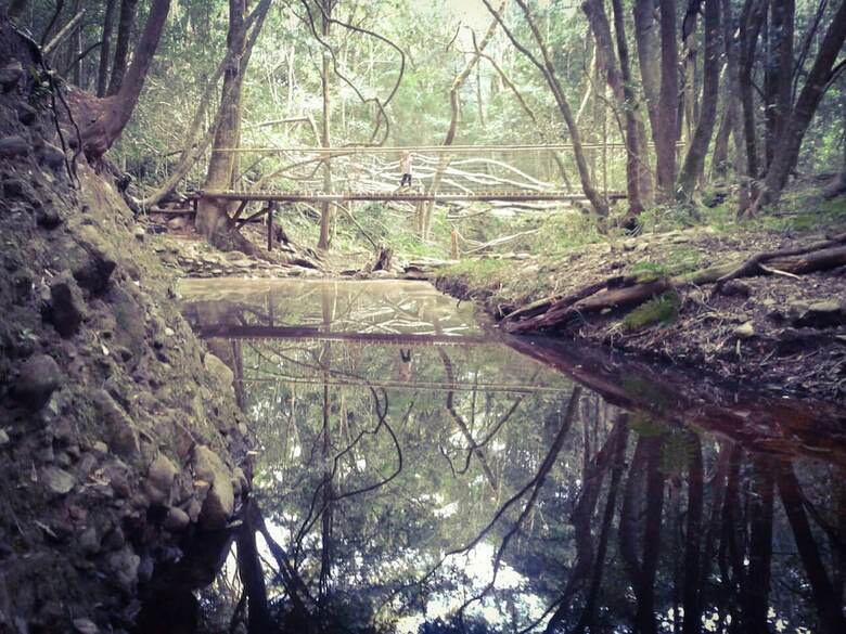 Apartamentos Woodlands Self Catering, Knysna