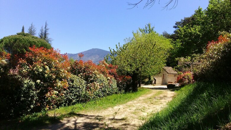 Bed & Breakfast Mas de Cocagne En Provence