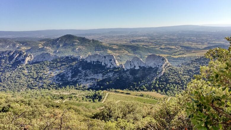 Bed & Breakfast Mas de Cocagne En Provence