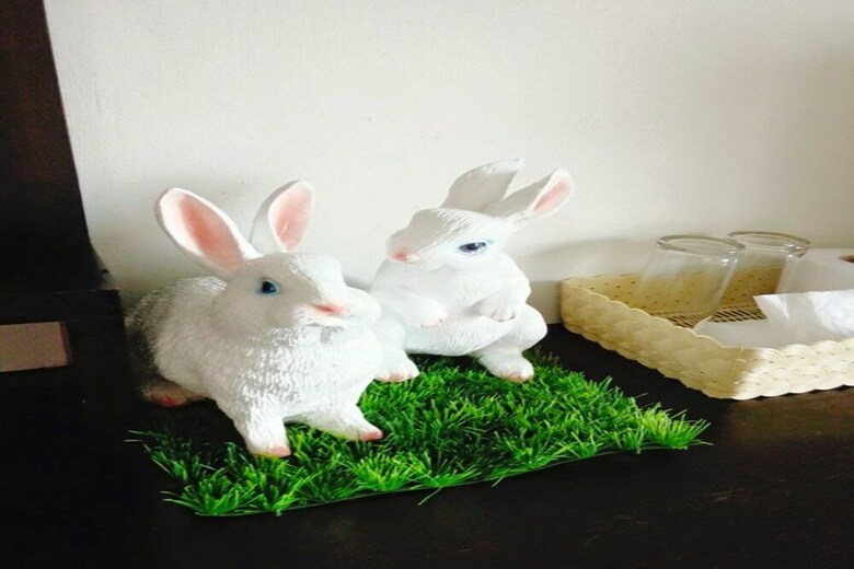 Cozy Rabbit Hotel