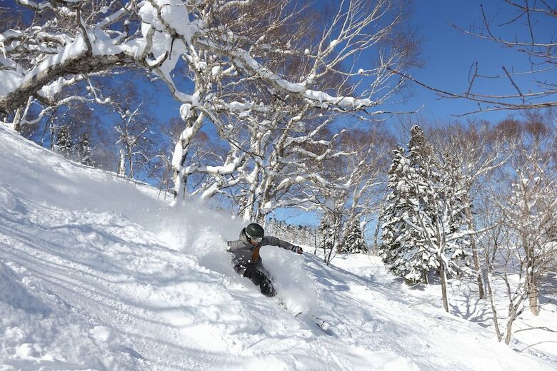 Hotel Appi Hills Shirakaba No Mori