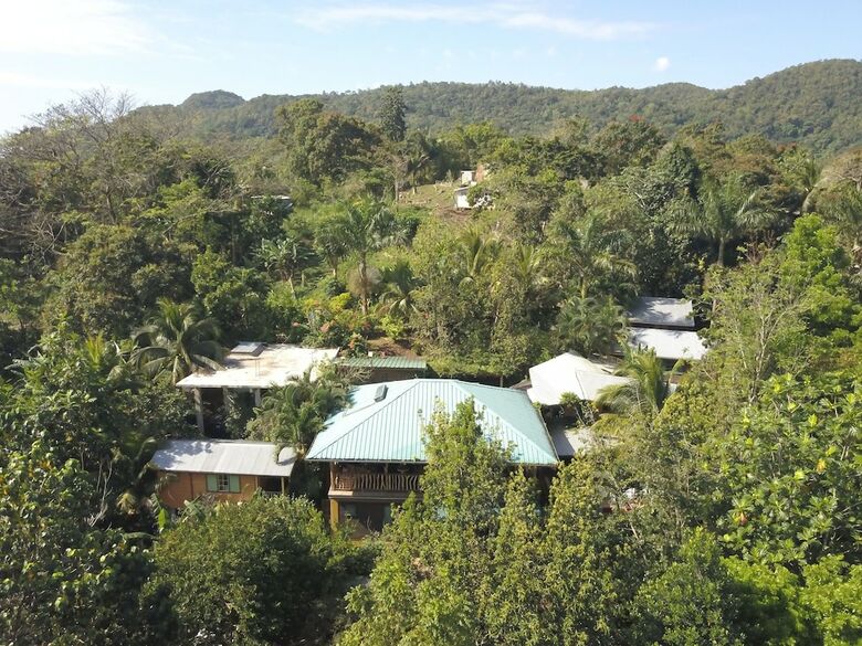Bed & Breakfast Zimbali Culinary Retreat