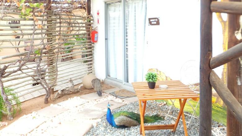 Agroturismo Daisy Country Lodge