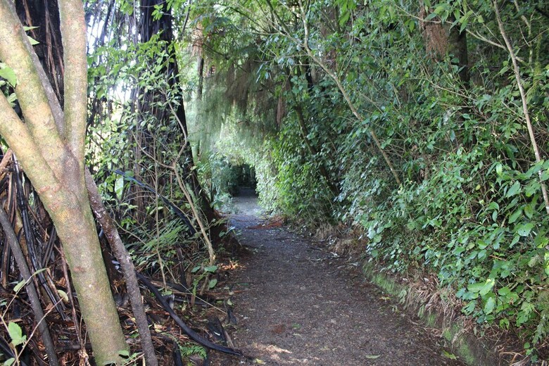 Hotel Waitomo Caves Guest Lodge