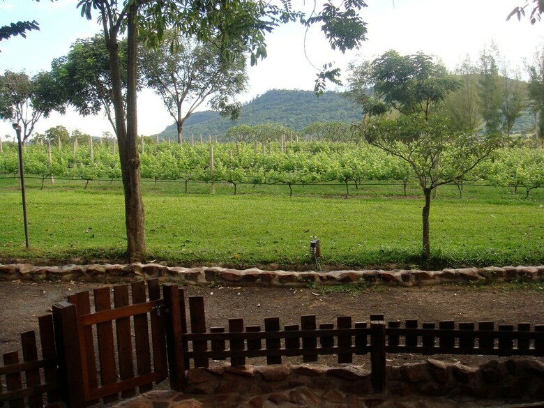 Hotel Village Farm & Winery