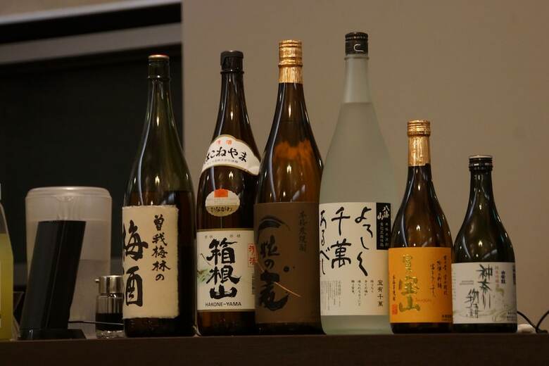 Hotel Hakone Gora Onsen Yumenoyu