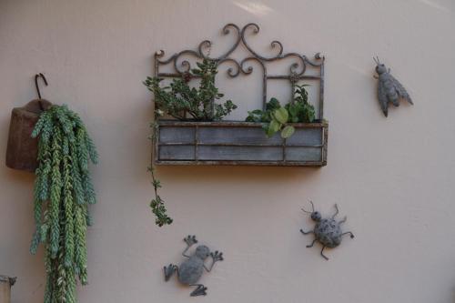 Hotel Hosteria Helvecia
