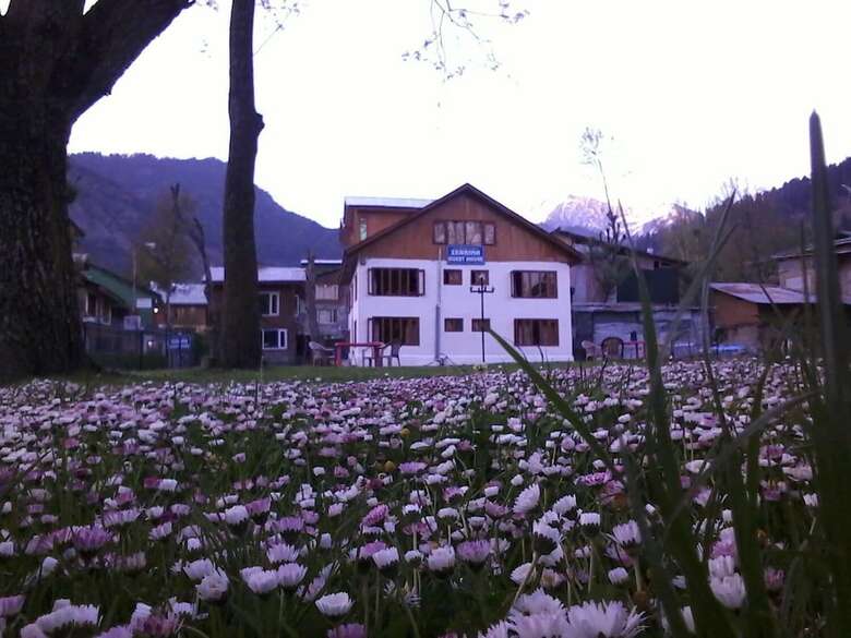 Hotel Zebrina Guest House