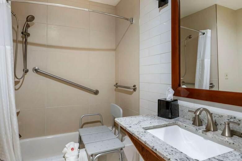 Hotel Comfort Suites University